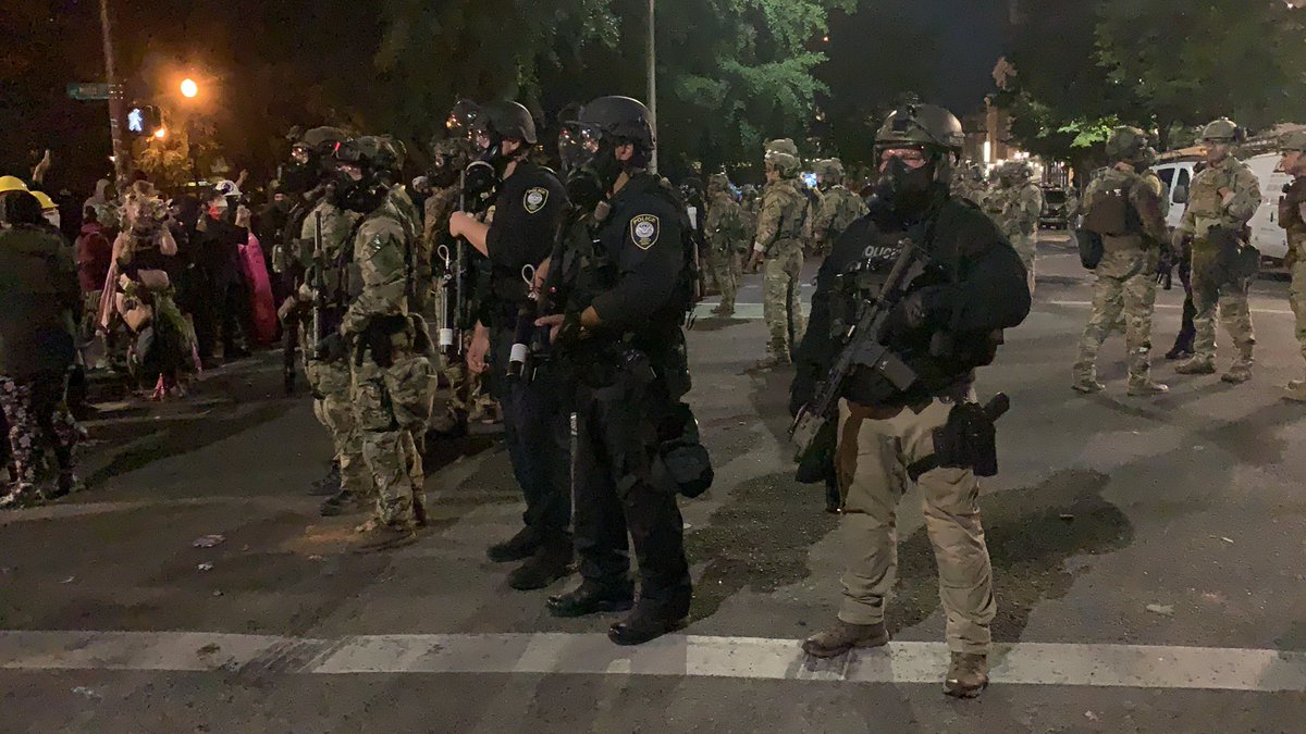 Here's a photo of some of the DHS FPS folks.   At this point I'm like, hell, bring back PPB, at least they are not supposed to use tear gas or arrest me (per the TROs).