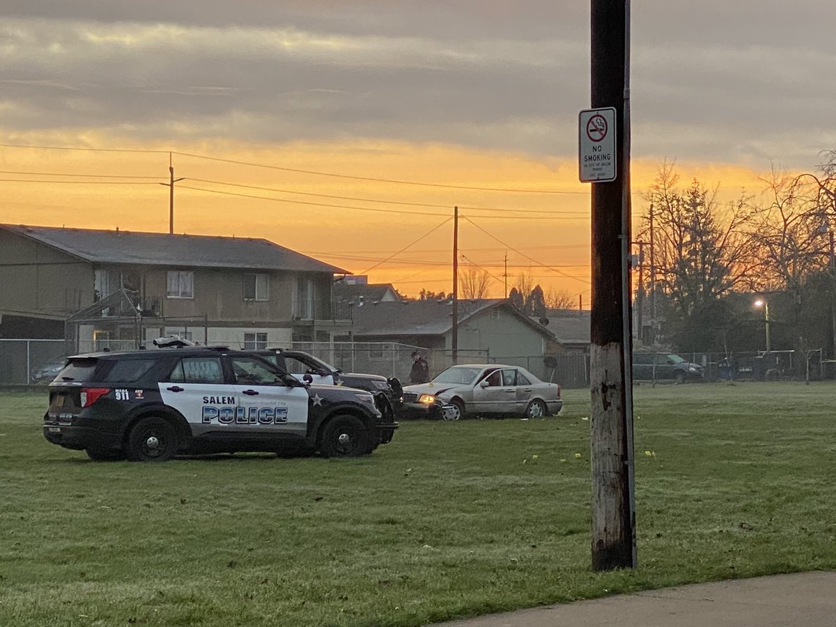 A sedan & 5 Salem police cruisers sit out in the open, at the scene of a deadly police shooting.  Happened around 12:30 a.m. in NE Salem's Northgate Park. Police say it started when a driver fled a traffic stop.  The driver is dead, &amp; a dog is injured following a confrontation