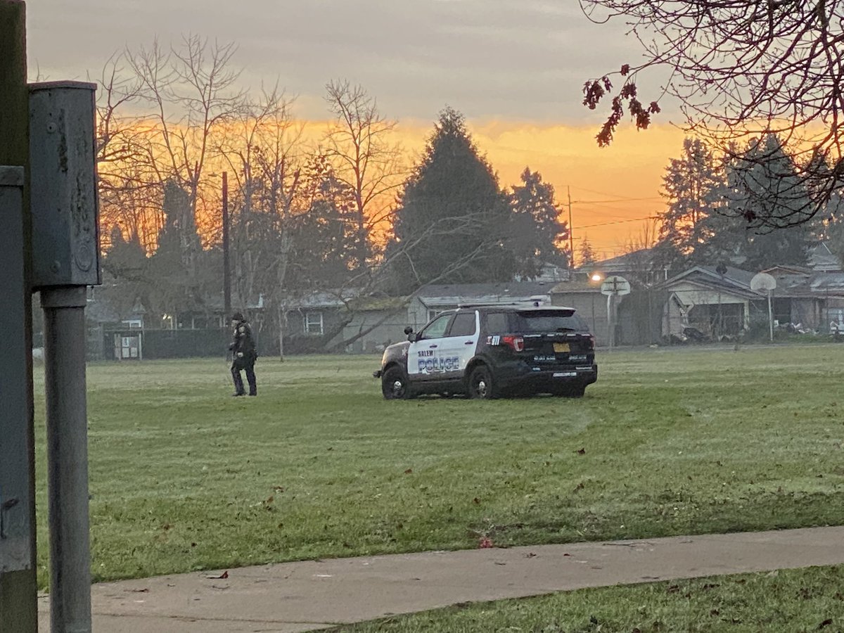 A sedan & 5 Salem police cruisers sit out in the open, at the scene of a deadly police shooting.  Happened around 12:30 a.m. in NE Salem's Northgate Park. Police say it started when a driver fled a traffic stop.  The driver is dead, &amp; a dog is injured following a confrontation