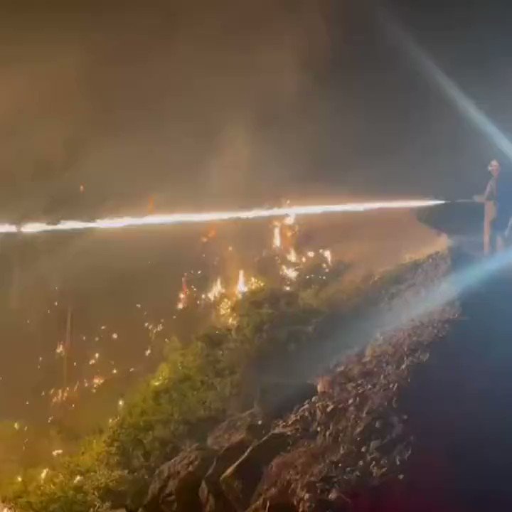 Firefighters with a torch fight against a  swarm of fire-hunting beetles (Melanophila) in the forest fire, which is located in Oak Flat and has already consumed about 26,000 acres