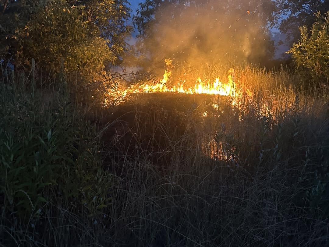 Firefighters worked to put out a fire that sparked on an island in the Willamette River near Dayton, Oregon on Tuesday night. 