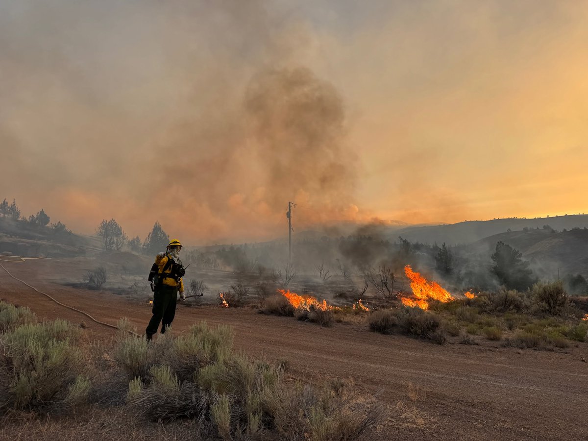 Wildfire : Oregon wildfires burn more than 200,000 acres, stretching state resources 